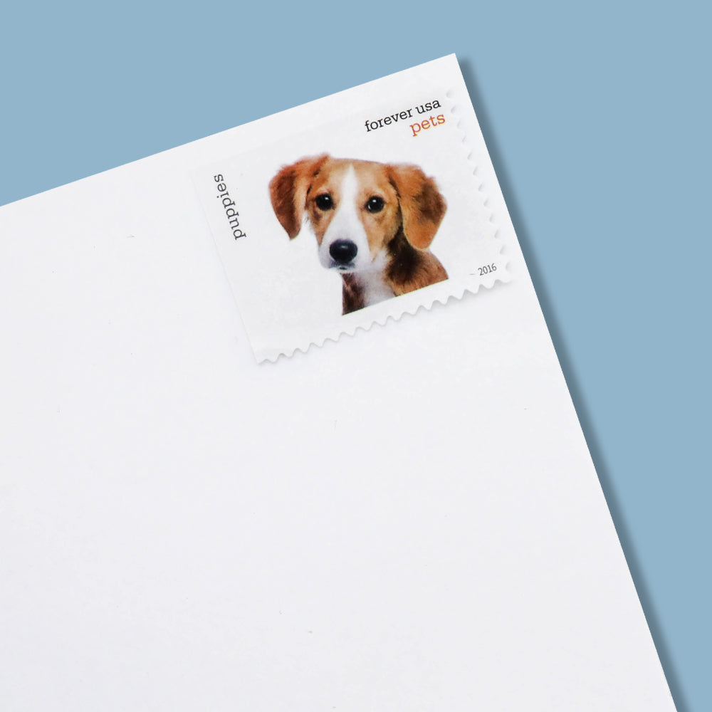 100Pcs 2016 US Pets Forever Stamps