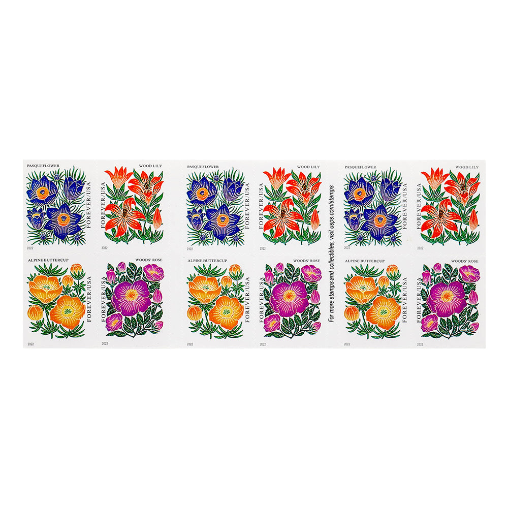 100Pcs 2022 US Mountain Flora Forever Stamps